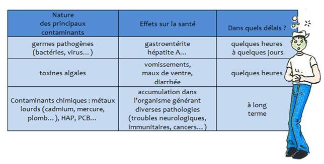 Image tableau des contaminants des coquillages