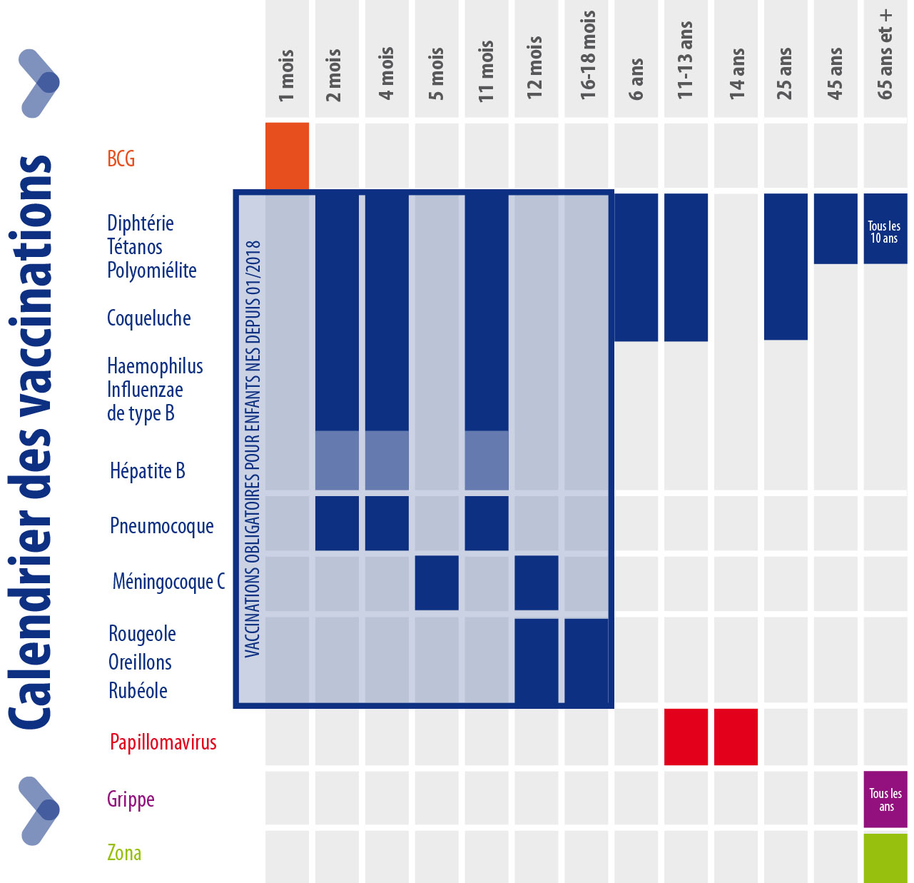 Calendrier des vaccinations