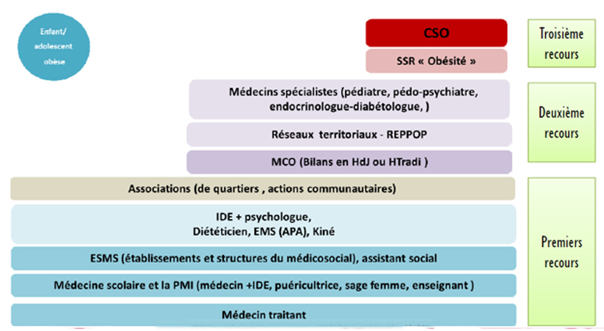 Visuel Prise en charge obésité - Niveaux de recours