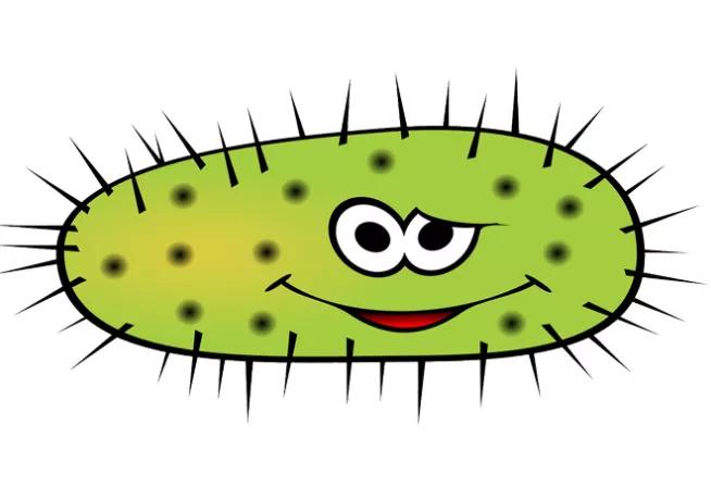 Illustration Virus / Bactérie