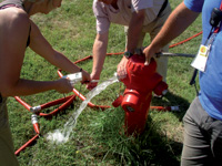 Photo Borne incendie