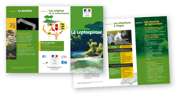 Visuel des supports leptospirose