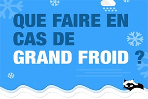 Image grand froid petite