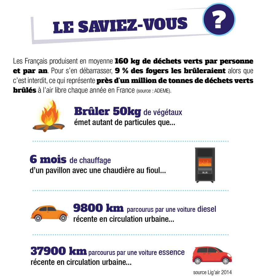 Illustration Le saviez-vous déchets verts