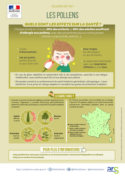 Visuel Affiche Qualité de l'air / Pollens
