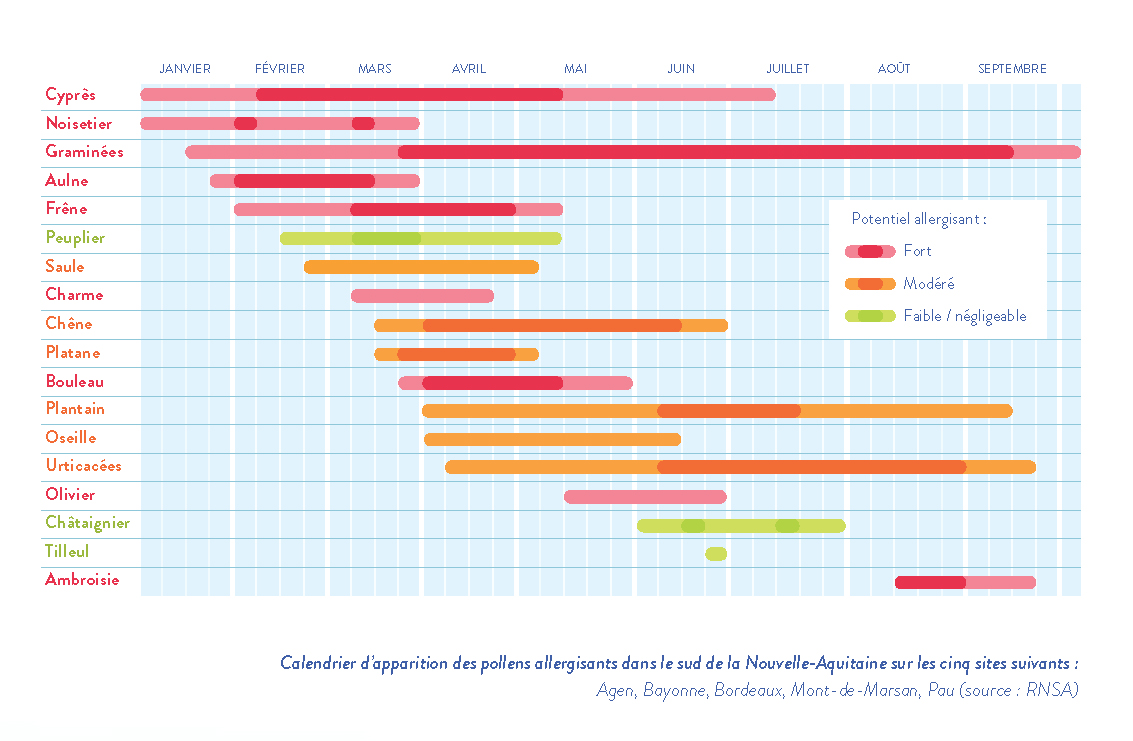 Visuel Calendrier pollinique Sud région Nouvelle-Aquitaine