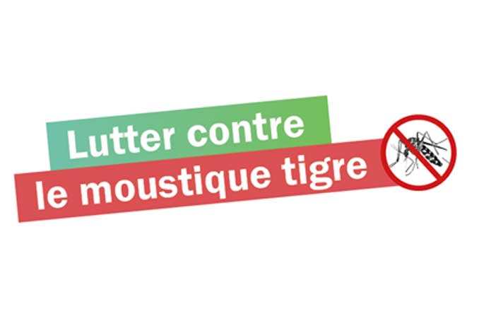 Face au tollé à Saintes, l'ARS renonce à l'insecticide controversé pour  éradiquer le moustique-tigre - Le Parisien