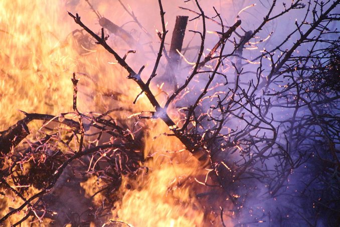 Feux de forêts - Impact sanitaire et recommandations