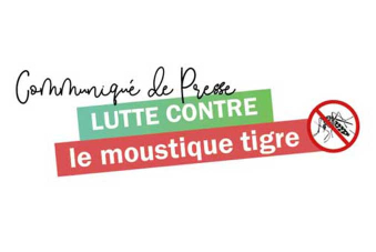 Visuel Communiqué de presse Moustique tigre