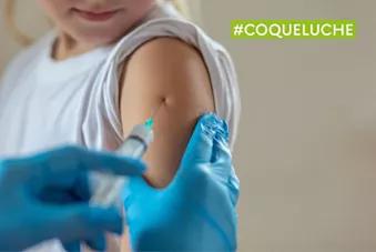 Visuel coqueluche