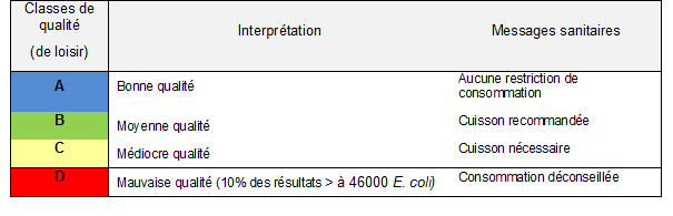 Image tableau classe de qualité pour une activité de loisir - coquillages