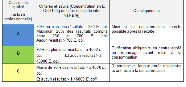 Image tableau classe de qualité pour une activité professionnelle - coquillages