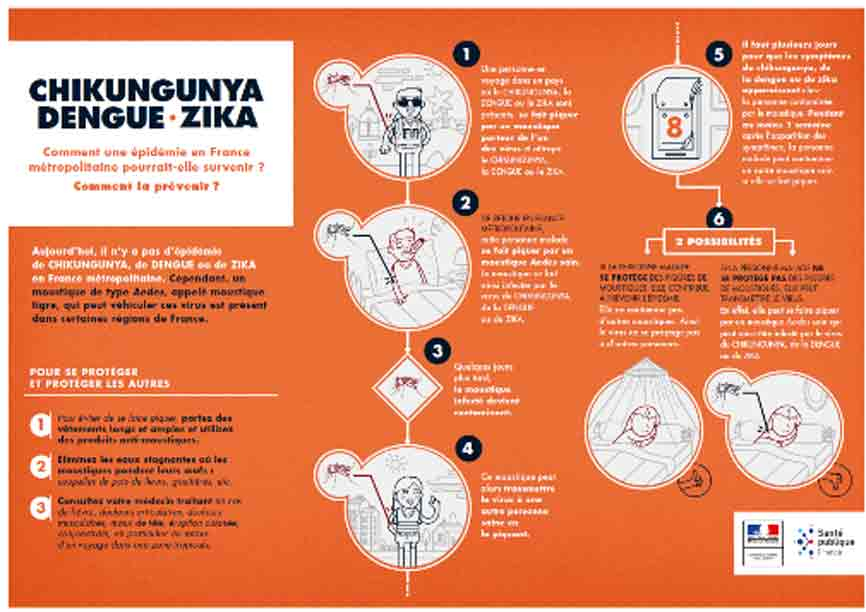 Infographie Moutiques épidémie