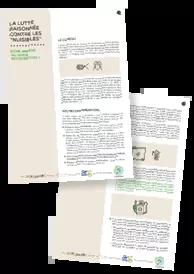Recocreche - fiche insectes nuisibles 