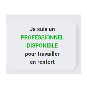 Bouton CP Plateforme RenfortRH Crise du 06/01/2023 professionnels