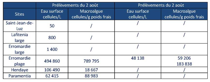 Tableau résultats Ostreopsis Côte Basque du 12/08/2021
