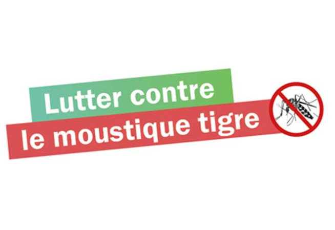 NO FLYING INSECTS Répulsif anti-moustique tigre prêt à l'emploi au géraniol  principe actif d